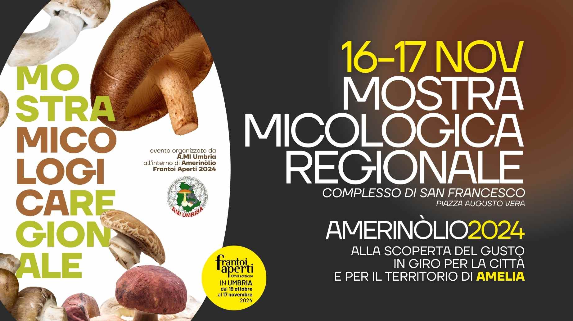 Locandina Mostra Micologica Regionale durante Amerinolio